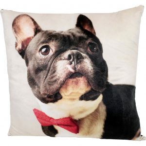 dekoracny vankus french bulldog 40 40cm