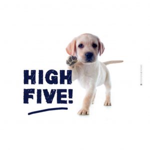 doska na krajanie high five