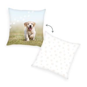 herding vankusik psik 40 x 40 cm