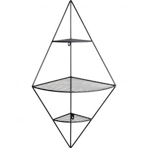 nastenny regal leicester 70