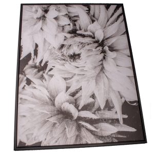 obraz na platne v rame dahlia 50 x 70 cm