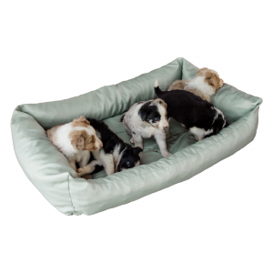 pelech pre psa 115 cm mentolova dogbed typ 3