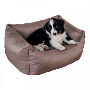 pelech pre psa 60 cm hnedobezova taupe dogbed typ 1