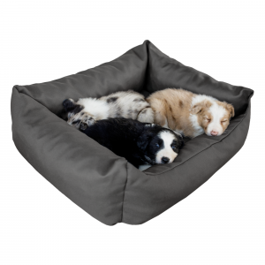 pelech pre psa 83 cm siva dogbed typ 2