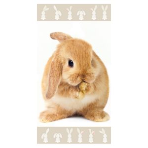 jerry fabrics osuska bunny brown 70 x 140 cm