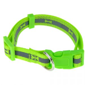 obojok pre psa neon zelena vel s