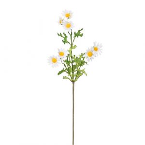 umela margareta biela 60 cm