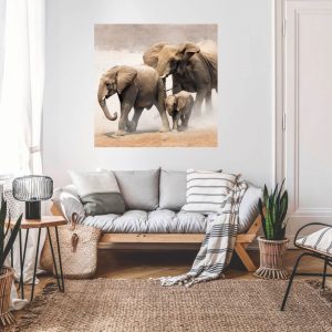 nalepky na stenu s motivom zvierat slony