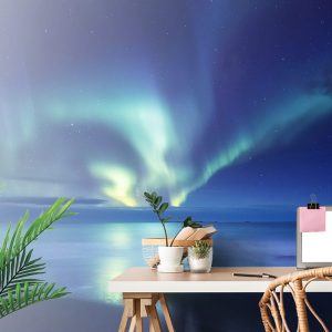 fototapeta polarna ziara nad oceanom 375x250