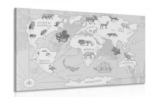 obraz ciernobiela mapa sveta so zvieratami 120x80