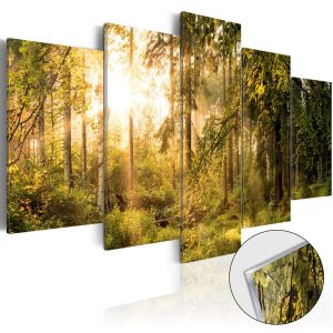 obraz kuzelny les na akrylatovom skle magic of forest 100x50
