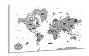 obraz mapa so zvieratami v ciernobielom prevedeni 60x40