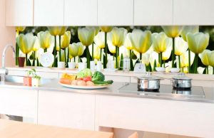 samolepiaca fototapeta do kuchyne biele tulipany