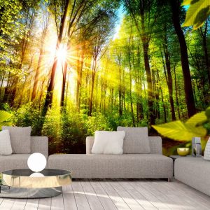samolepiaca tapeta slnko v lese forest hideout