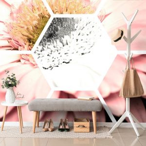 tapeta gerbera v sestuholniku 225x150