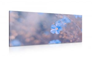 obraz modre kvety na vintage pozadi