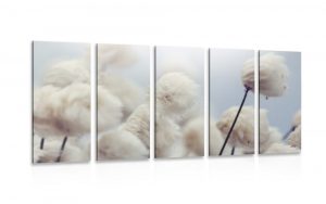 5 dielny obraz arkticke kvety bavlny