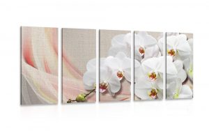 5 dielny obraz biela orchidea na platne