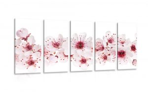 5 dielny obraz ceresnove kvety