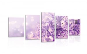 5 dielny obraz fialovy kvet orgovanu