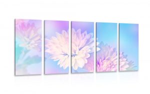 5 dielny obraz kvet chryzantemy