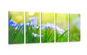 5 dielny obraz kvety na luke v jarnom obdobi
