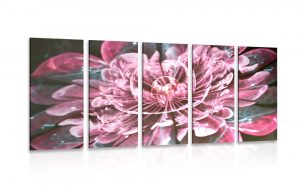 5 dielny obraz magicky ruzovy kvet