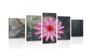 5 dielny obraz ocarujuci lotosovy kvet