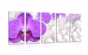 5 dielny obraz orchidea na abstraktnom pozadi