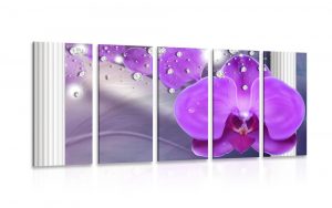 5 dielny obraz orchidea pri greckych stlpoch