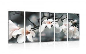 5 dielny obraz prebudzajuca sa magnolia