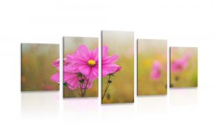 5 dielny obraz rozkvitnuty ruzovy kvet