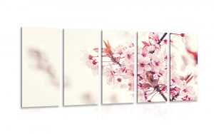 5 dielny obraz ruzove kvety ceresne