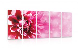 5 dielny obraz ruzovy kvet