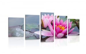 5 dielny obraz ruzovy lotosovy kvet