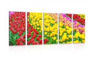 5 dielny obraz zahrada plna tulipanov