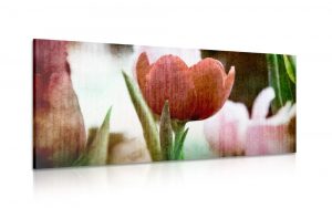 obraz cerveny retro tulipan