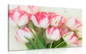 obraz jarne tulipany