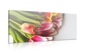 obraz kytica farebnych tulipanov