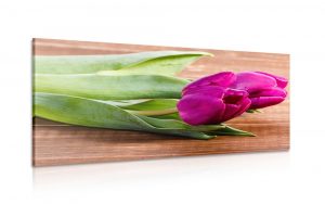 obraz kytica fialovych tulipanov