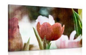 obraz luka tulipanov v retro style