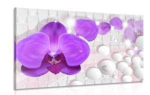 obraz orchidea na abstraktnom pozadi