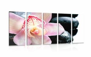 5 dielny obraz exoticka orchidea