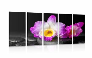 5 dielny obraz fialova orchidea na zen kamenoch