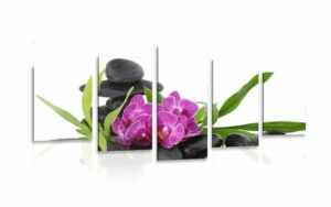 5 dielny obraz fialova orchidea v zen zatisi