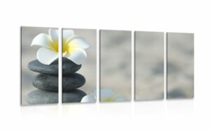 5 dielny obraz harmonicke kamene a kvet plumeria