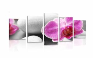 5 dielny obraz kvety orchidey na bielych kamenoch