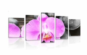 5 dielny obraz nadherna orchidea a kamene