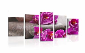 5 dielny obraz nadherna orchidea a zen kamene