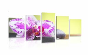 5 dielny obraz orchidea a cierne kamene